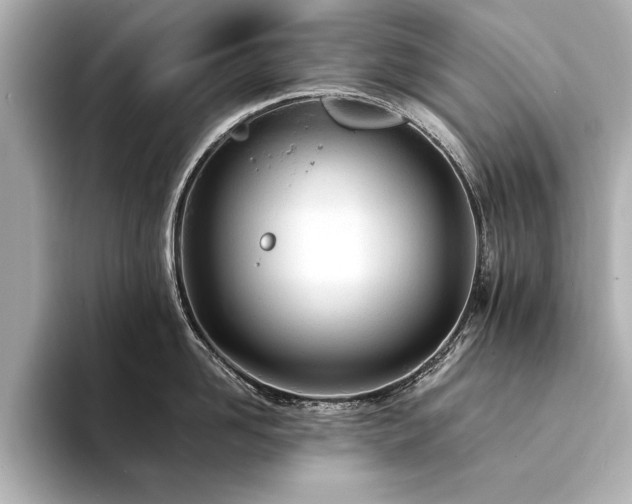 X0000094320958200711021349