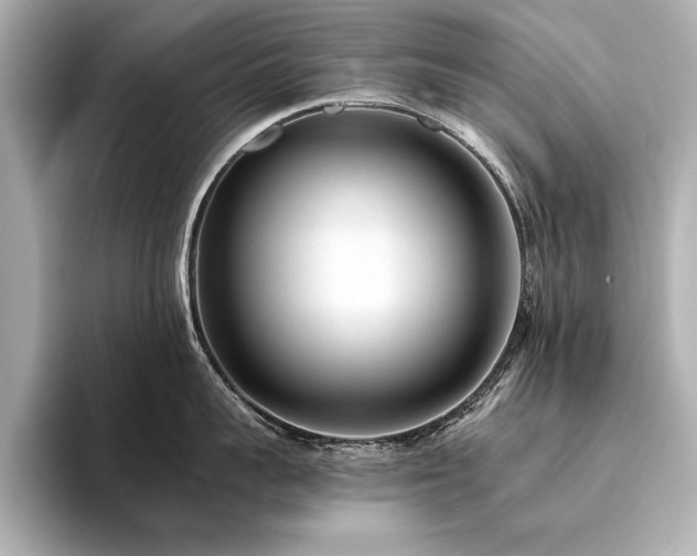 X0000094320959200711021349