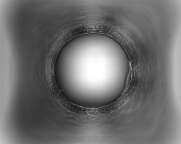 X0000094320961200711021349