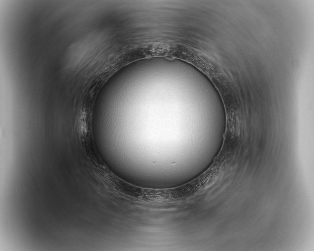 X0000094320962200711021349