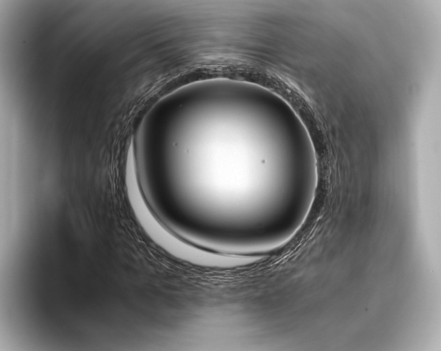 X0000094320965200711021349