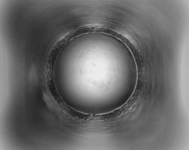 X0000094320967200711021349