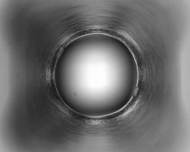 X0000094320969200711021349