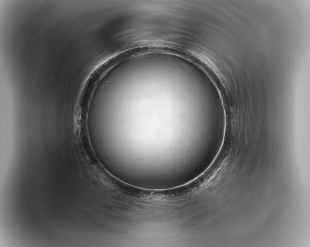 X0000094320971200711021349