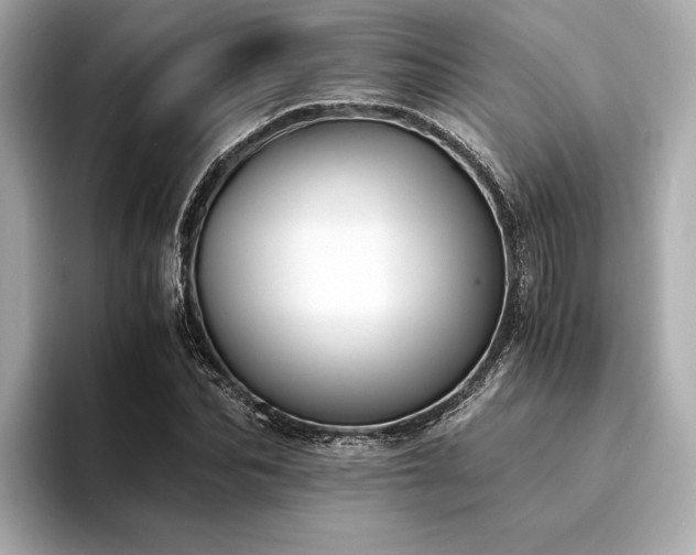 X0000094320974200711021349