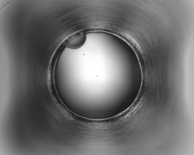 X0000094320976200711021349