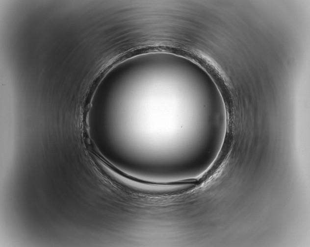 X0000094320977200711021348