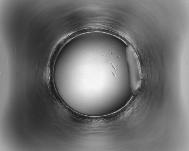 X0000094320979200711021348