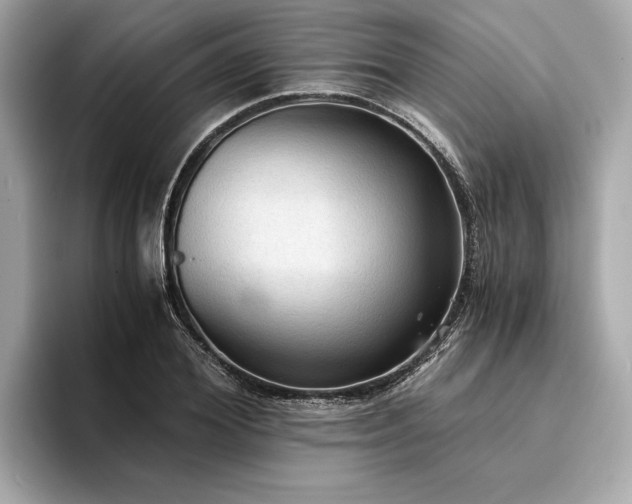 X0000094320980200711021348