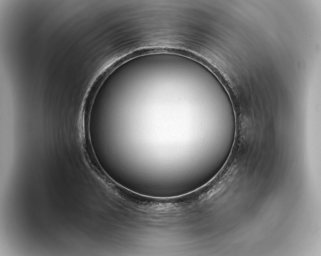 X0000094320982200711021348