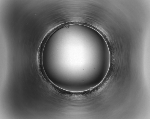 X0000094320983200711021348