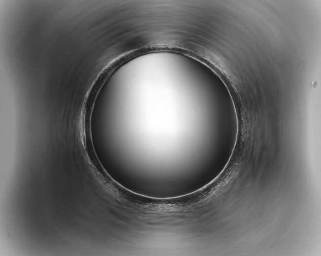 X0000094320984200711021348