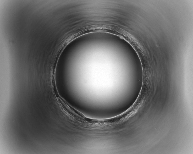 X0000094320985200711021348