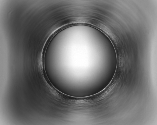 X0000094320988200711021348