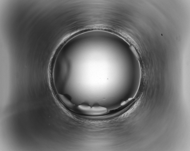 X0000094320989200711021348