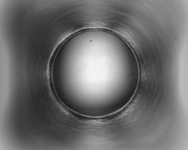 X0000094320990200711021348