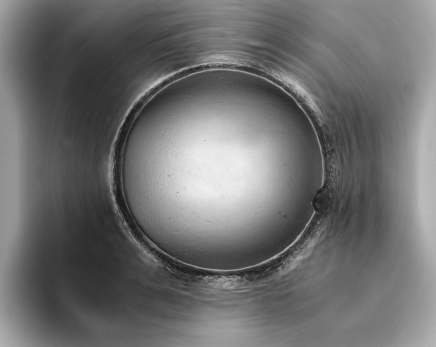X0000094320991200711021348