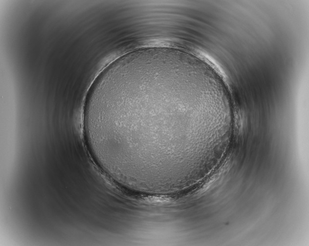 X0000094320994200711021348