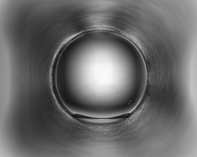 X0000094320995200711021348