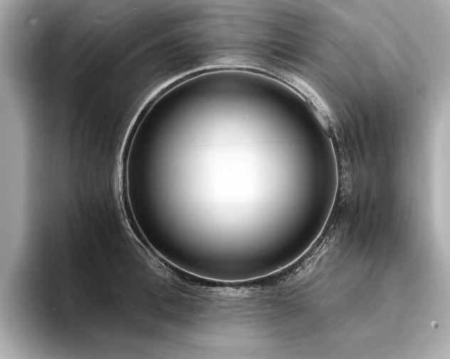 X0000094320996200711021348