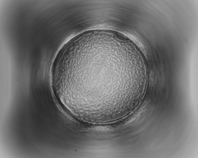 X0000094320998200711021348
