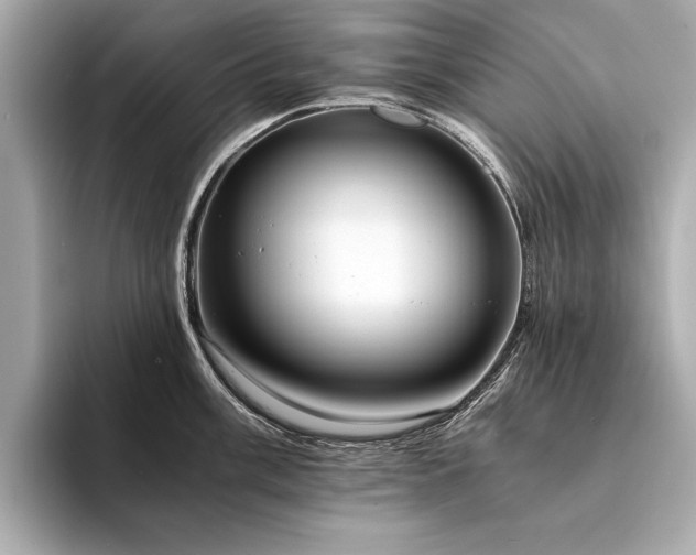 X0000094321003200711021348