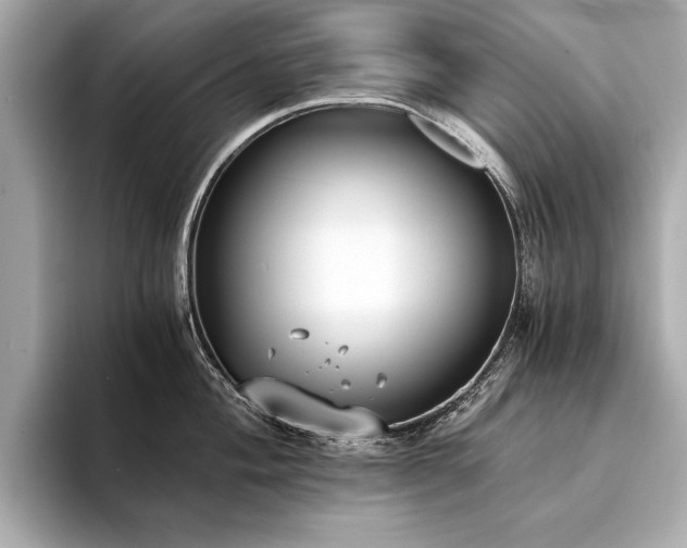 X0000094321004200711021348