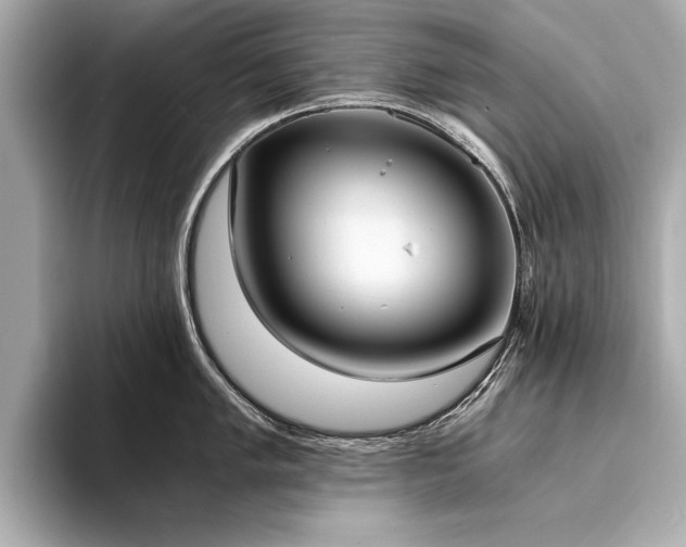 X0000094321005200711021348