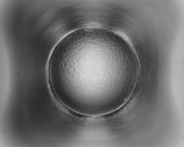 X0000094321008200711021348
