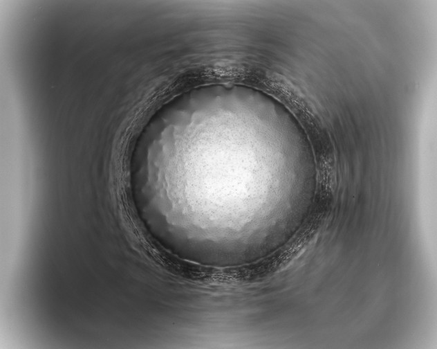 X0000094321009200711021348