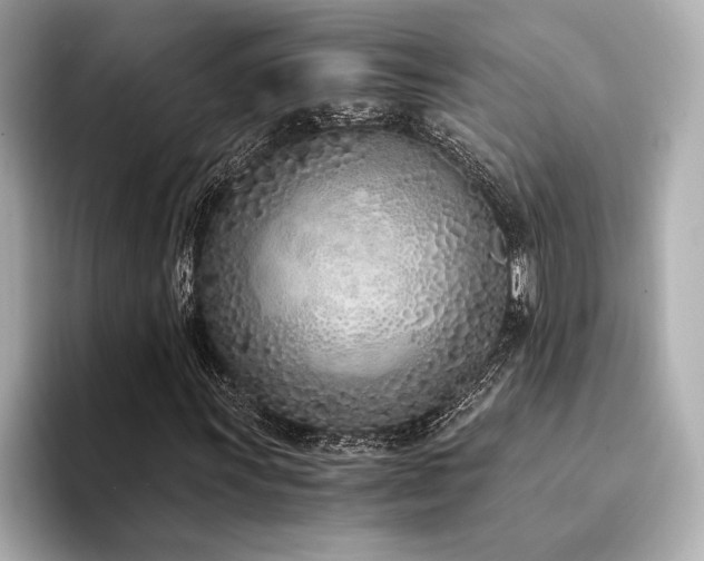 X0000094321011200711021348
