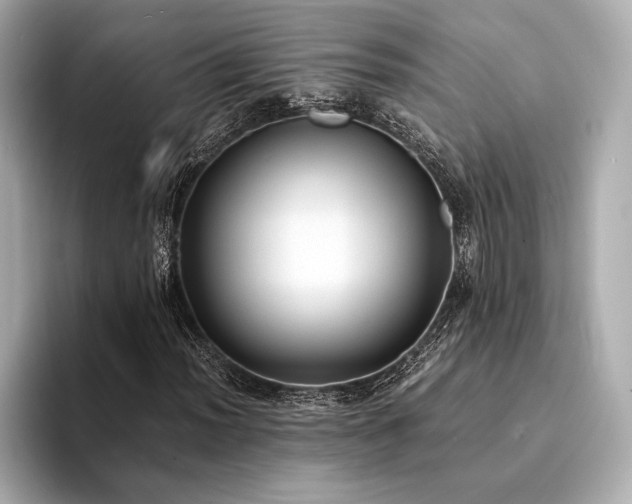 X0000094321012200711021348