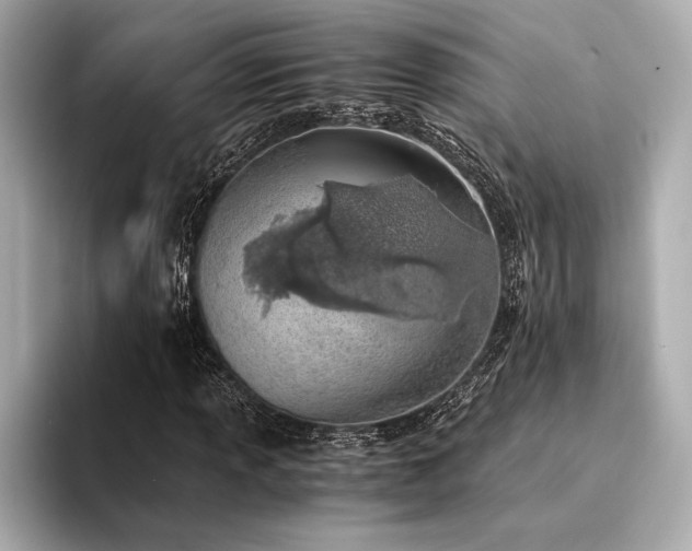 X0000094321013200711021348