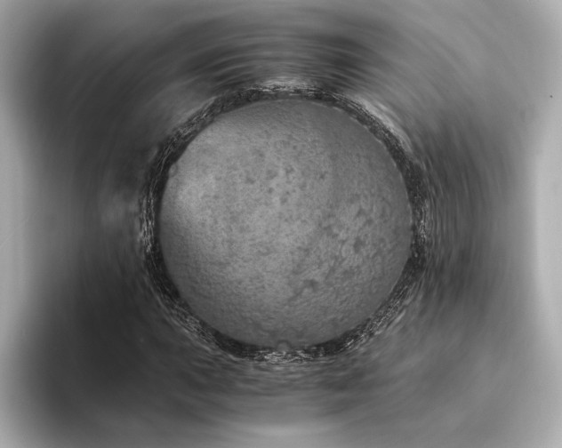 X0000094321015200711021348