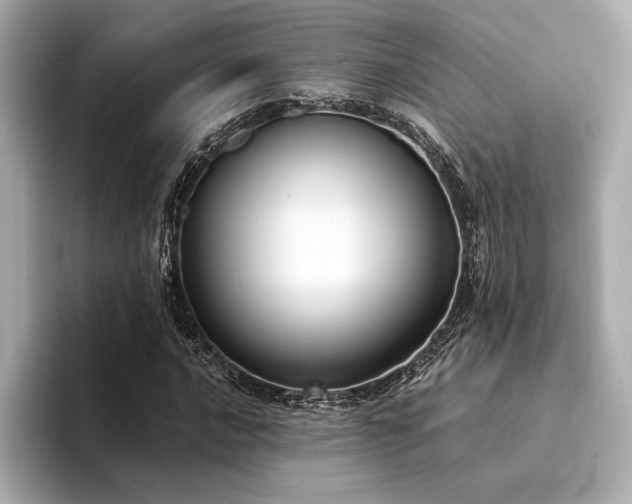 X0000094321016200711021348