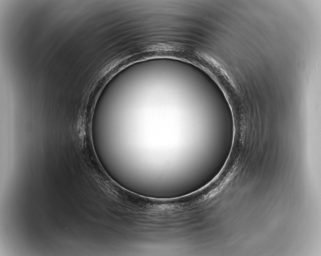 X0000094321017200711021348