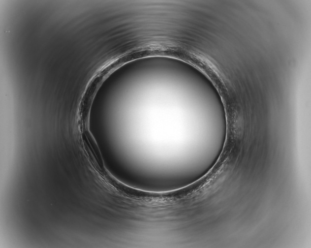 X0000094321018200711021348