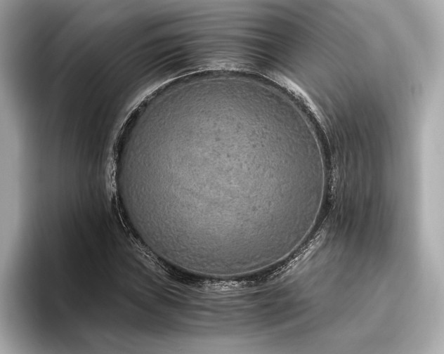 X0000094321019200711021348