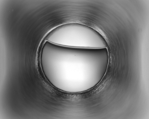 X0000094321020200711021348