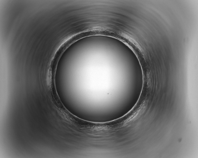 X0000094321021200711021348