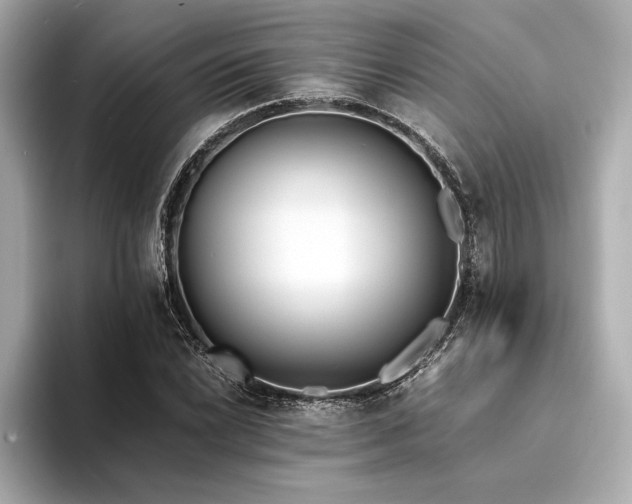 X0000094321022200711021348