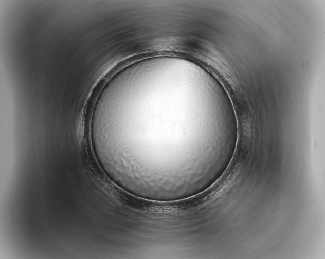X0000094321023200711021348