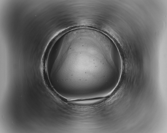 X0000094321024200711021348
