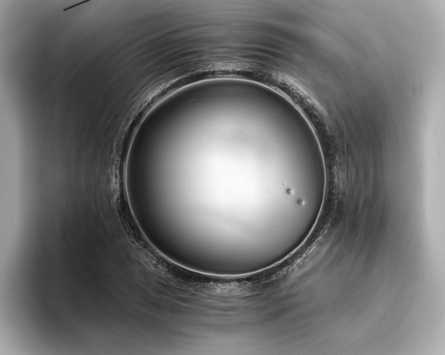 X0000094321025200711021348