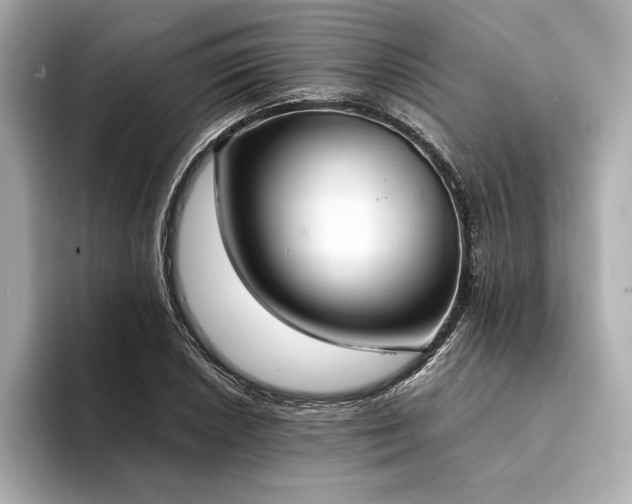X0000094321026200711021348