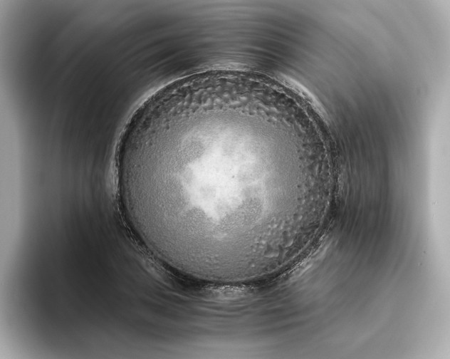X0000094321027200711021348