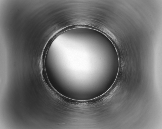 X0000094321028200711021348