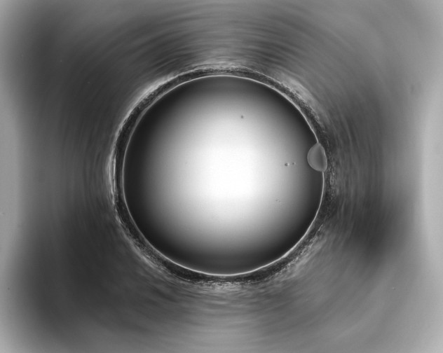 X0000094321030200711021348