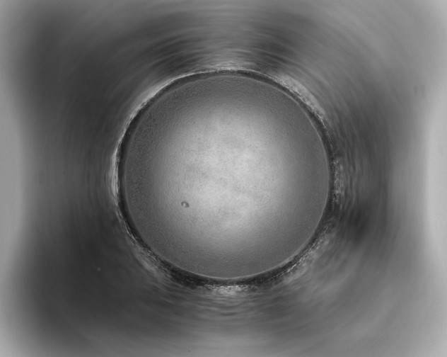 X0000094321031200711021348