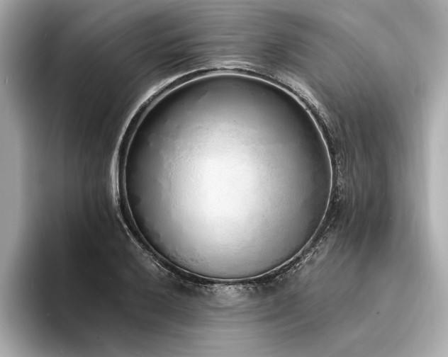 X0000094321032200711021348
